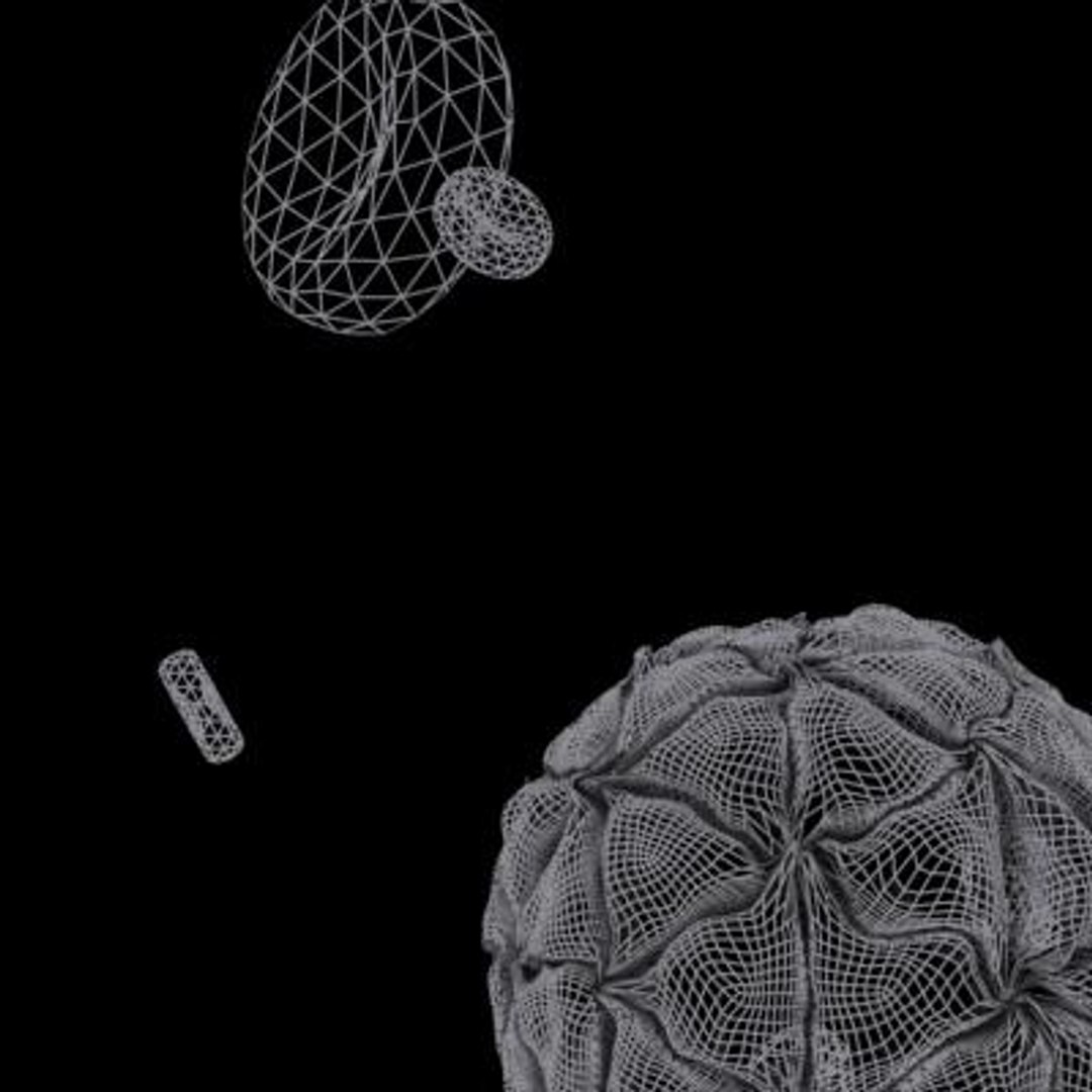 20 viruses virus 3d model https://p.turbosquid.com/ts-thumb/h4/c7Fqg8/gIC09m8L/blackbeetlevirus18/jpg/1284131885/1920x1080/fit_q87/08f6b97cf43383486a9f5f01603f37277a2d0c72/blackbeetlevirus18.jpg