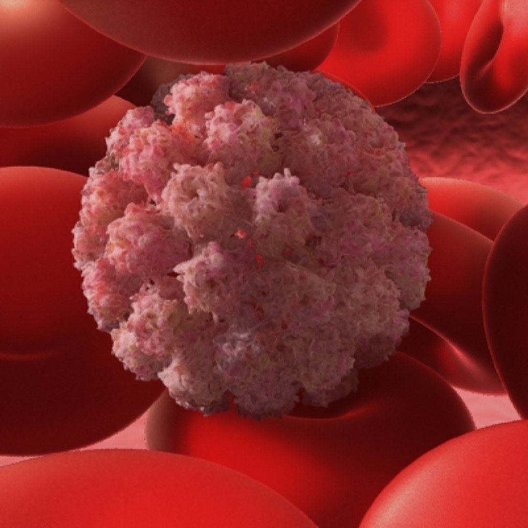 20 viruses virus 3d model https://p.turbosquid.com/ts-thumb/h4/c7Fqg8/gyPAo6gL/1/jpg/1284131888/1920x1080/fit_q87/422f32168c3b4459dd7cd0cd5d91231a8006c527/1.jpg