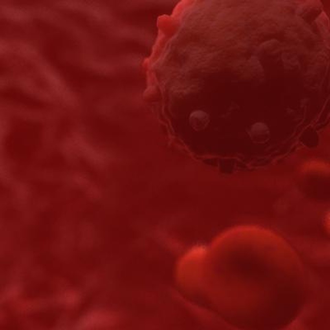 20 viruses virus 3d model https://p.turbosquid.com/ts-thumb/h4/c7Fqg8/h16pJmKU/gammretrovirus4/jpg/1284131926/1920x1080/fit_q87/3b63cbc00da2963650ba866c9ca9a518651fe5f9/gammretrovirus4.jpg