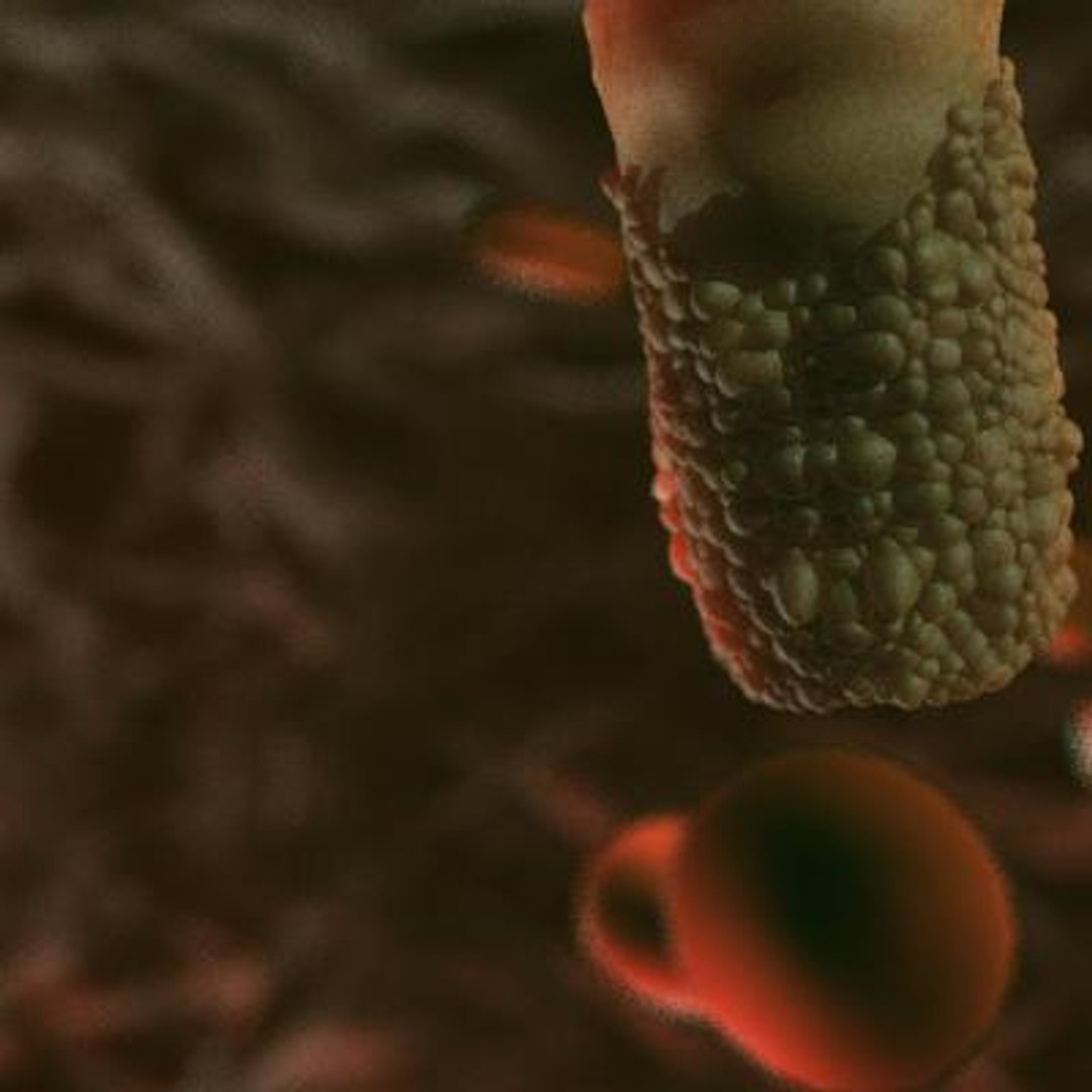 20 viruses virus 3d model https://p.turbosquid.com/ts-thumb/h4/c7Fqg8/hRingX5v/infectioushematopoieticnecrosisvirus4/jpg/1284132098/1920x1080/fit_q87/9f053cd20d7d8a9fafd3d566e66af899b0591dfd/infectioushematopoieticnecrosisvirus4.jpg