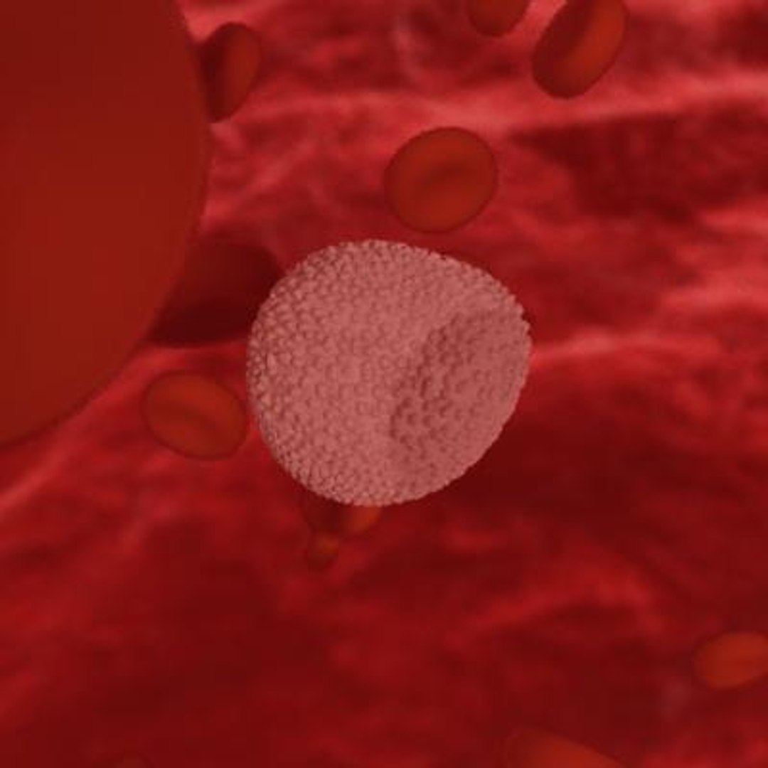 20 viruses virus 3d model https://p.turbosquid.com/ts-thumb/h4/c7Fqg8/jZHS00vX/flavivirus3/jpg/1284131907/1920x1080/fit_q87/342096c828b8ed32bdcb05653720254fd534e34e/flavivirus3.jpg