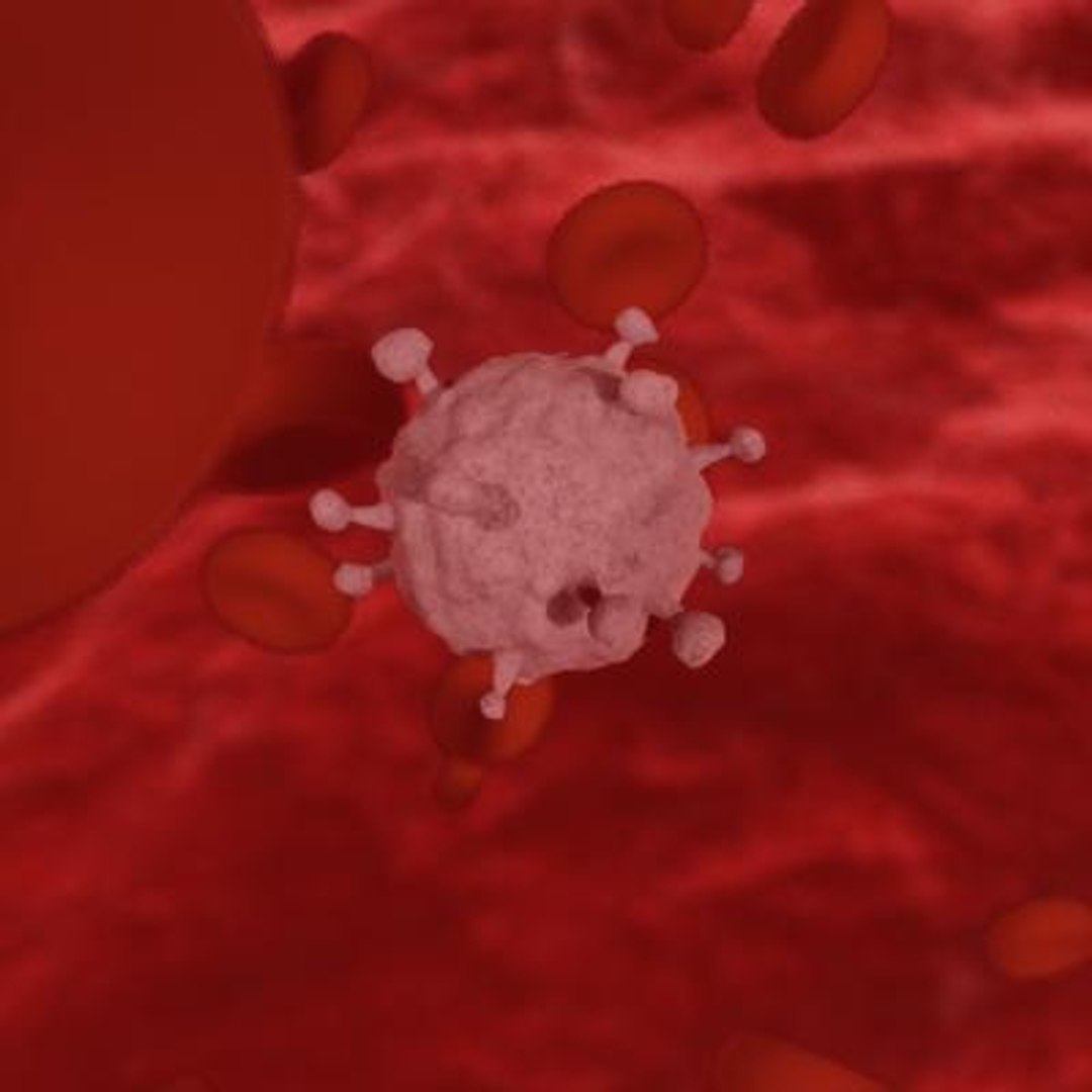20 viruses virus 3d model https://p.turbosquid.com/ts-thumb/h4/c7Fqg8/kGNqUuEx/humanblymphotropicvirus3/jpg/1284132001/1920x1080/fit_q87/a98fe7f93f9e37cd42e2293b3cefc6c2729f6706/humanblymphotropicvirus3.jpg