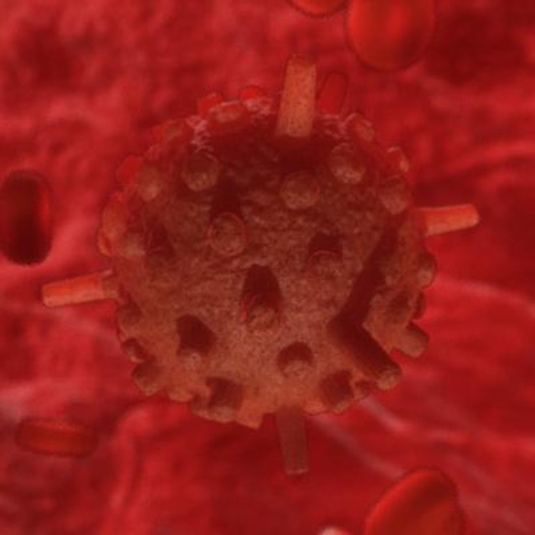 20 viruses virus 3d model https://p.turbosquid.com/ts-thumb/h4/c7Fqg8/kdJUhOBN/infantilegastroenteritisvirus1/jpg/1284132088/1920x1080/fit_q87/2549f07f4e40cfb647279ce57954447f9cbc2804/infantilegastroenteritisvirus1.jpg