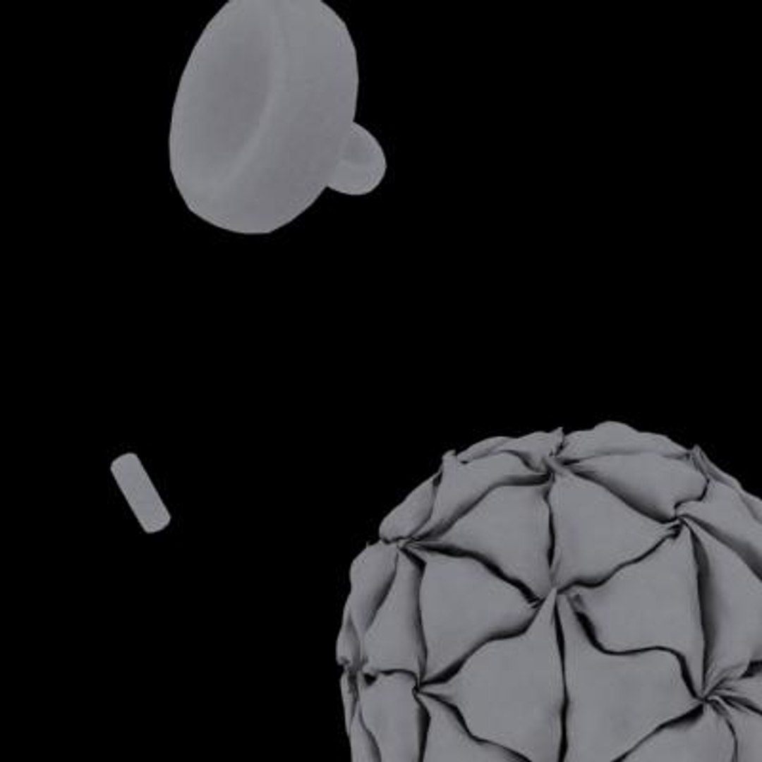 20 viruses virus 3d model https://p.turbosquid.com/ts-thumb/h4/c7Fqg8/l3wxg5dw/blackbeetlevirus12/jpg/1284131885/1920x1080/fit_q87/cb39812ae386df8ef68d766dec08fc42940d06dc/blackbeetlevirus12.jpg