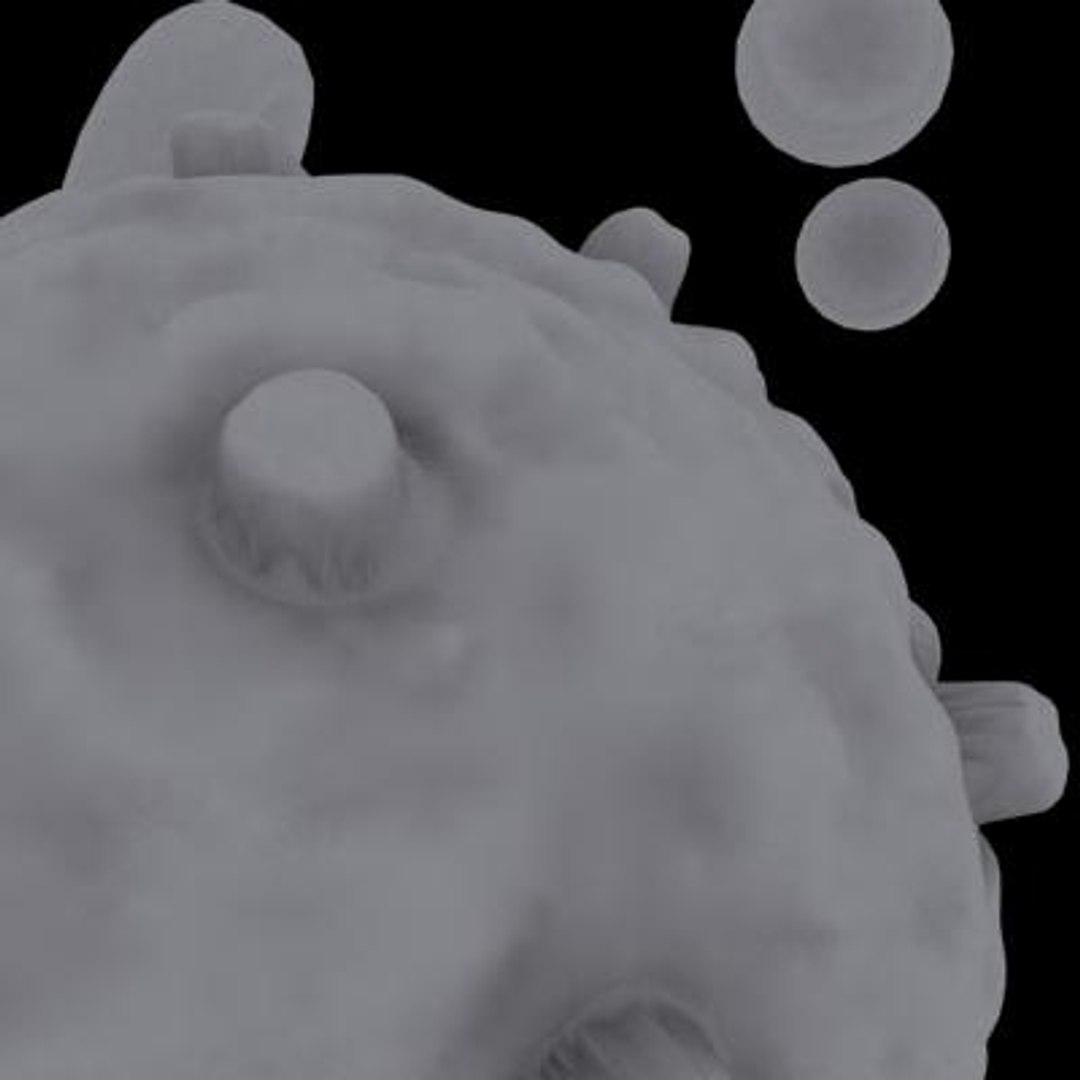 20 viruses virus 3d model https://p.turbosquid.com/ts-thumb/h4/c7Fqg8/lXgp8s0e/gammretrovirus8/jpg/1284131926/1920x1080/fit_q87/6eb11b4e61009eca0c50c4a30f7dc19610deb78d/gammretrovirus8.jpg