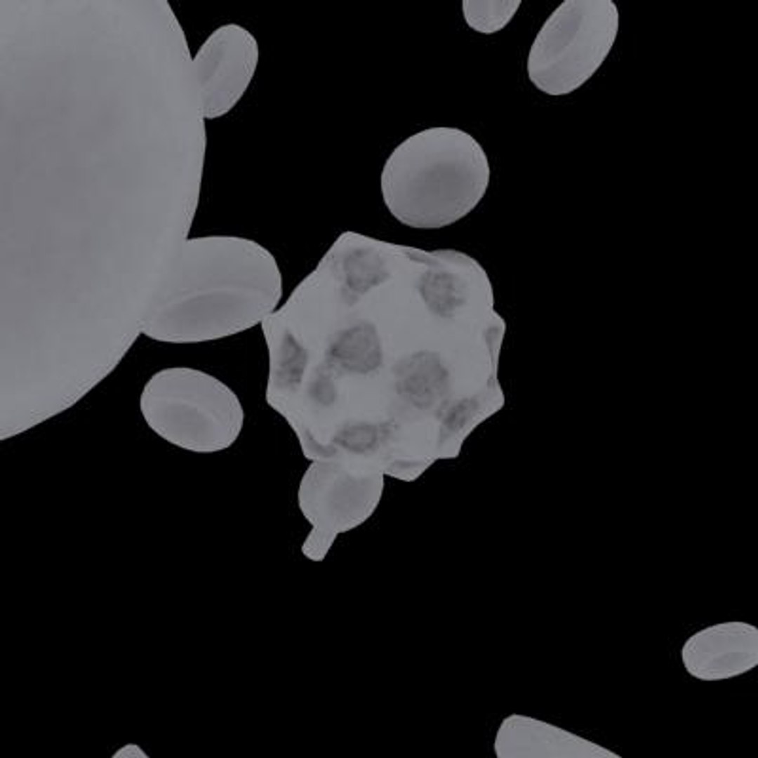 20 viruses virus 3d model https://p.turbosquid.com/ts-thumb/h4/c7Fqg8/mChi4aZK/hepatovirus9/jpg/1284131980/1920x1080/fit_q87/8247f7017af00891dbc4a65b3a406eb1973ecb13/hepatovirus9.jpg