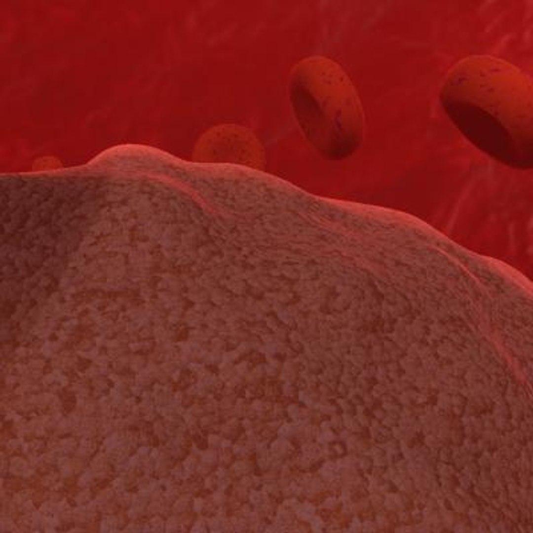 20 viruses virus 3d model https://p.turbosquid.com/ts-thumb/h4/c7Fqg8/mv8NM1Gm/ganulosis5/jpg/1284131947/1920x1080/fit_q87/f0df214d2821fb4d6366a6b6ee9b1d192c731889/ganulosis5.jpg
