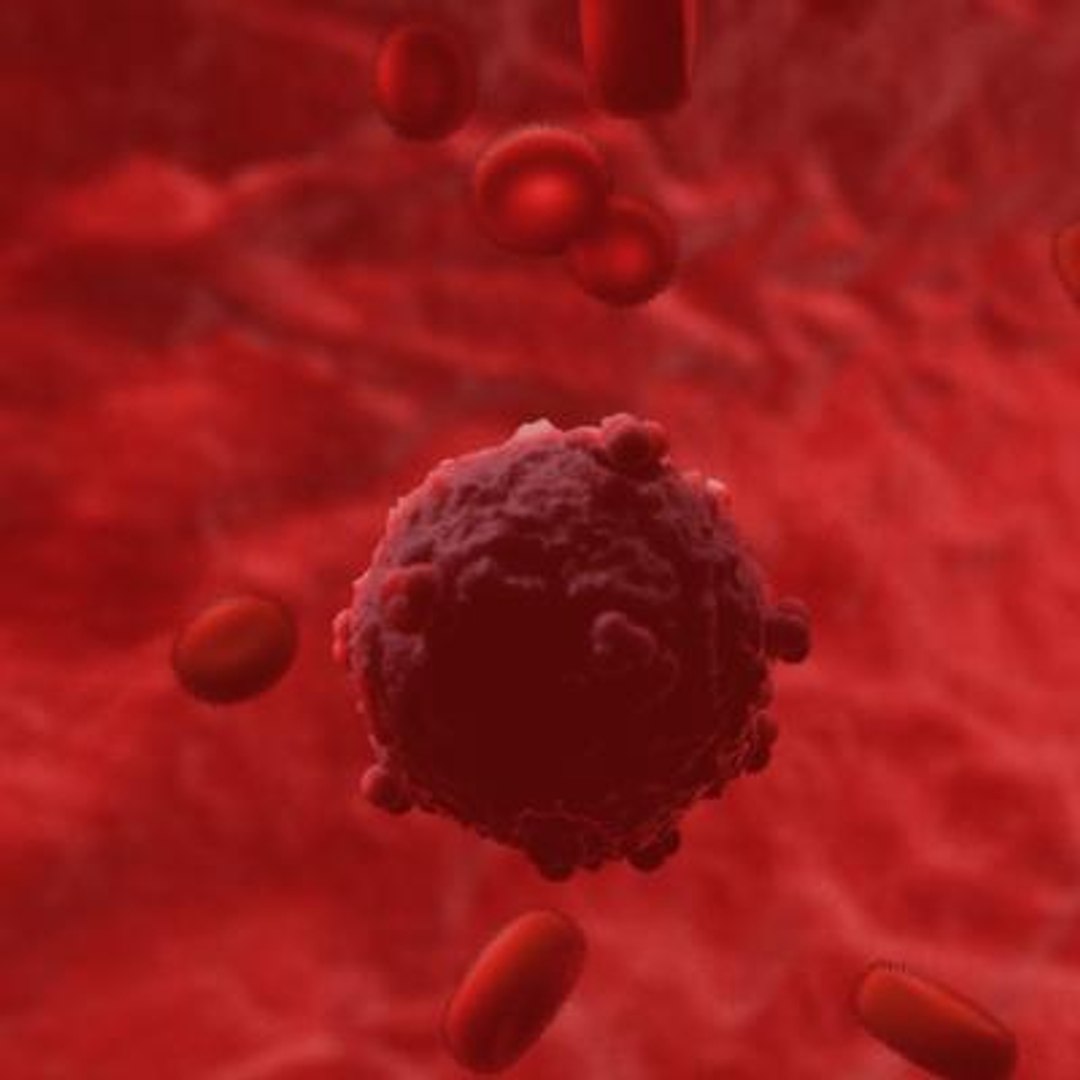 20 viruses virus 3d model https://p.turbosquid.com/ts-thumb/h4/c7Fqg8/o75GL3Y1/humanfoamyvirus3/jpg/1284132022/1920x1080/fit_q87/2e6259c119c7d9c78319a369160b538fff06fb97/humanfoamyvirus3.jpg