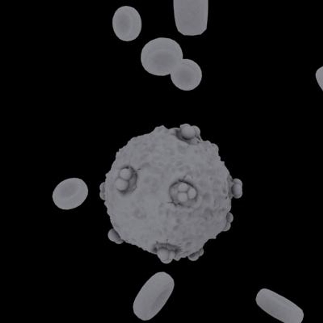 20 viruses virus 3d model https://p.turbosquid.com/ts-thumb/h4/c7Fqg8/oQcBMfHU/humanfoamyvirus9/jpg/1284132023/1920x1080/fit_q87/8d3de5b97b1acc746f408088a57bd9658737598a/humanfoamyvirus9.jpg