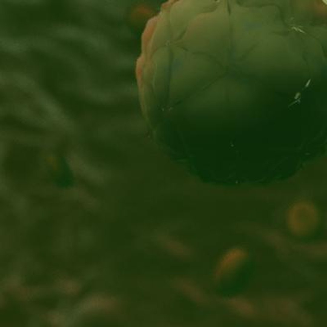 20 viruses virus 3d model https://p.turbosquid.com/ts-thumb/h4/c7Fqg8/oxyUEQrr/blackbeetlevirus4/jpg/1284131885/1920x1080/fit_q87/42164135e13de22e6c528fc82b2bb0663df47395/blackbeetlevirus4.jpg