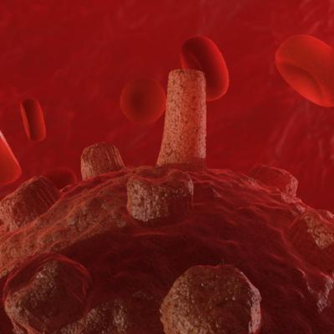 20 viruses virus 3d model https://p.turbosquid.com/ts-thumb/h4/c7Fqg8/pxU8Tits/infantilegastroenteritisvirus5/jpg/1284132089/1920x1080/fit_q87/ad0c2409d61be9abdaad45a5205c9bac09363e0a/infantilegastroenteritisvirus5.jpg