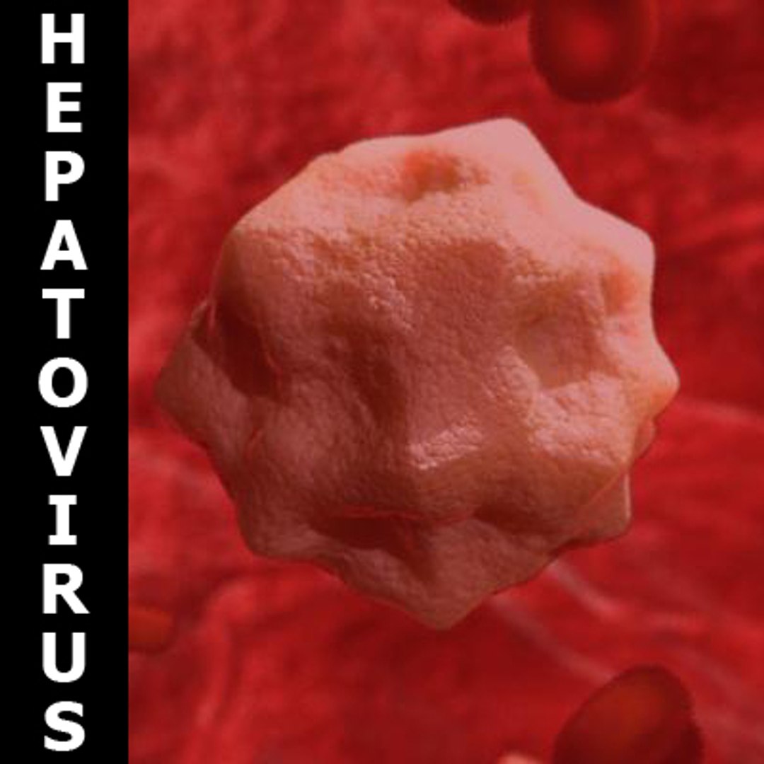 20 viruses virus 3d model https://p.turbosquid.com/ts-thumb/h4/c7Fqg8/qO1zXUBB/compil/jpg/1284130910/1920x1080/fit_q87/b8017cf7e5131a3942f7380430a4044f4214b751/compil.jpg