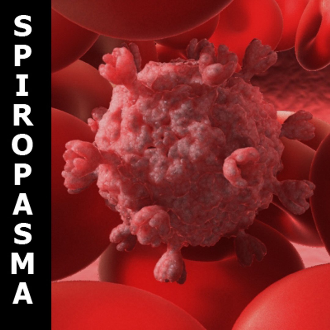 20 viruses virus 3d model https://p.turbosquid.com/ts-thumb/h4/c7Fqg8/qQ0NkTks/1/jpg/1284130951/1920x1080/fit_q87/be2761da5bc3095d7fa3479abb39ea3e70509dc6/1.jpg