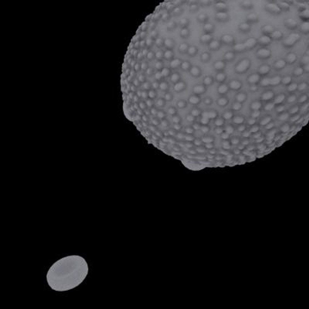 20 viruses virus 3d model https://p.turbosquid.com/ts-thumb/h4/c7Fqg8/qRdhNS7e/flavivirus10/jpg/1284131907/1920x1080/fit_q87/a817060383148e3300cdfe6bafaf51a72cf03ddb/flavivirus10.jpg