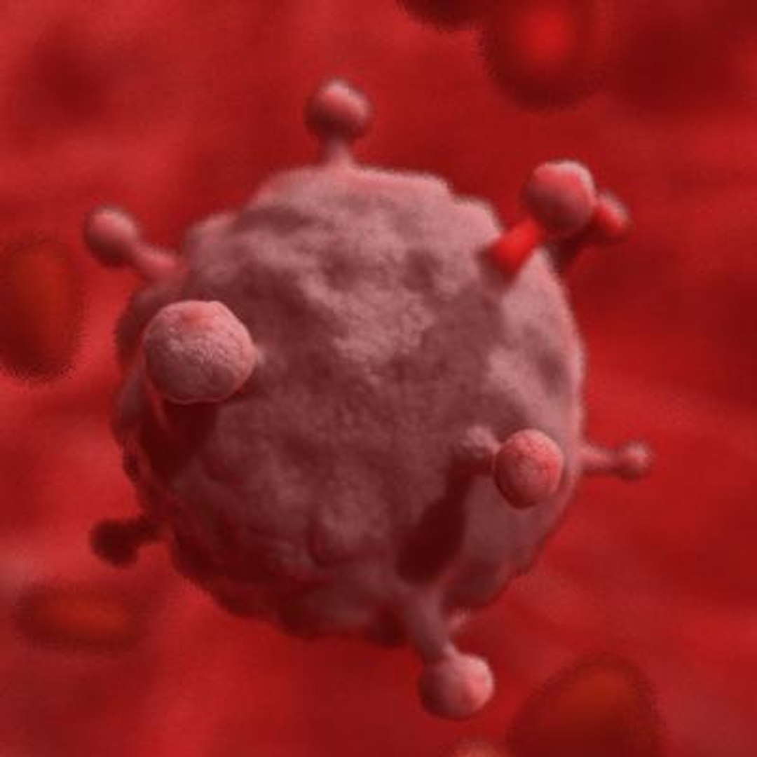 20 viruses virus 3d model https://p.turbosquid.com/ts-thumb/h4/c7Fqg8/qy2nUPDE/humanblymphotropicvirus1/jpg/1284132001/1920x1080/fit_q87/54d490325d2254dc506cf6d40ba990916520c9fc/humanblymphotropicvirus1.jpg