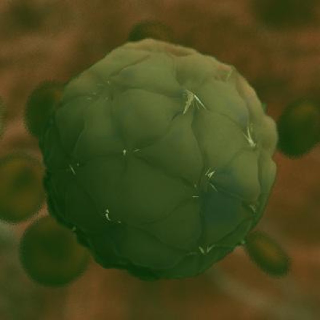 20 viruses virus 3d model https://p.turbosquid.com/ts-thumb/h4/c7Fqg8/sRSlipme/blackbeetlevirus1/jpg/1284131885/1920x1080/fit_q87/45b949cd6987e264a84009bc7fed7e3a3ad01092/blackbeetlevirus1.jpg