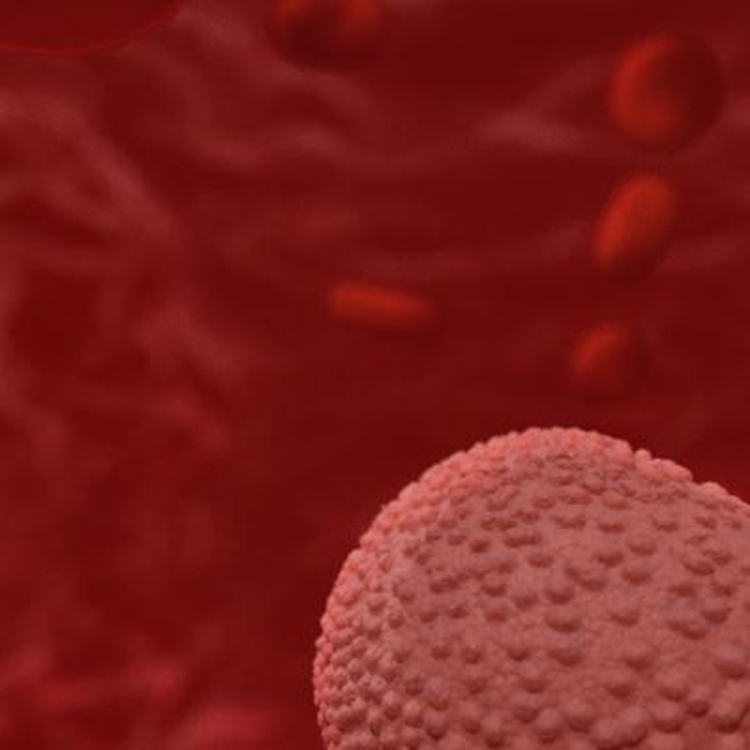 20 viruses virus 3d model https://p.turbosquid.com/ts-thumb/h4/c7Fqg8/tqDgLgUU/flavivirus6/jpg/1284131907/1920x1080/fit_q87/4db9d50ce9e6173ae9f218d80773d3772c7e0d0f/flavivirus6.jpg