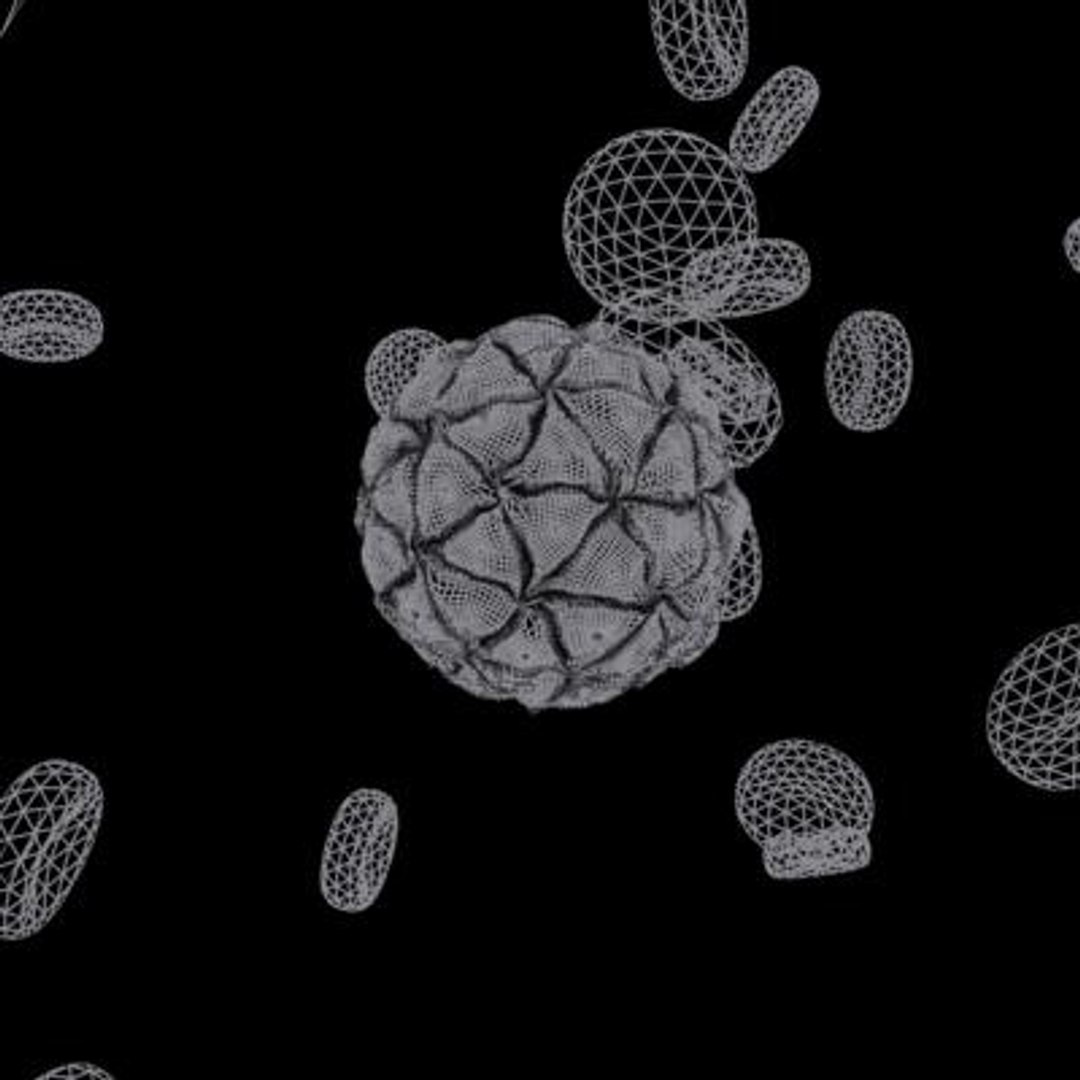 20 viruses virus 3d model https://p.turbosquid.com/ts-thumb/h4/c7Fqg8/ufLCyAlO/blackbeetlevirus15/jpg/1284131885/1920x1080/fit_q87/0c2a91c14174de2abf524eed502bc44a0a7aa4a0/blackbeetlevirus15.jpg