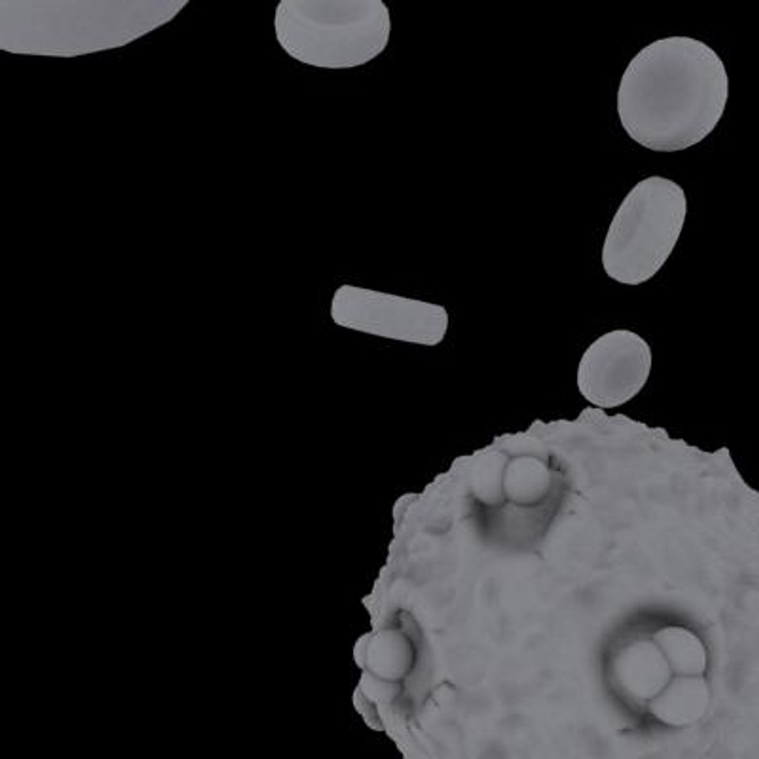 20 viruses virus 3d model https://p.turbosquid.com/ts-thumb/h4/c7Fqg8/wBvgrnT5/humanfoamyvirus12/jpg/1284132023/1920x1080/fit_q87/aef50884f235578ae5d21a0e3ee07b7bf3648f1d/humanfoamyvirus12.jpg