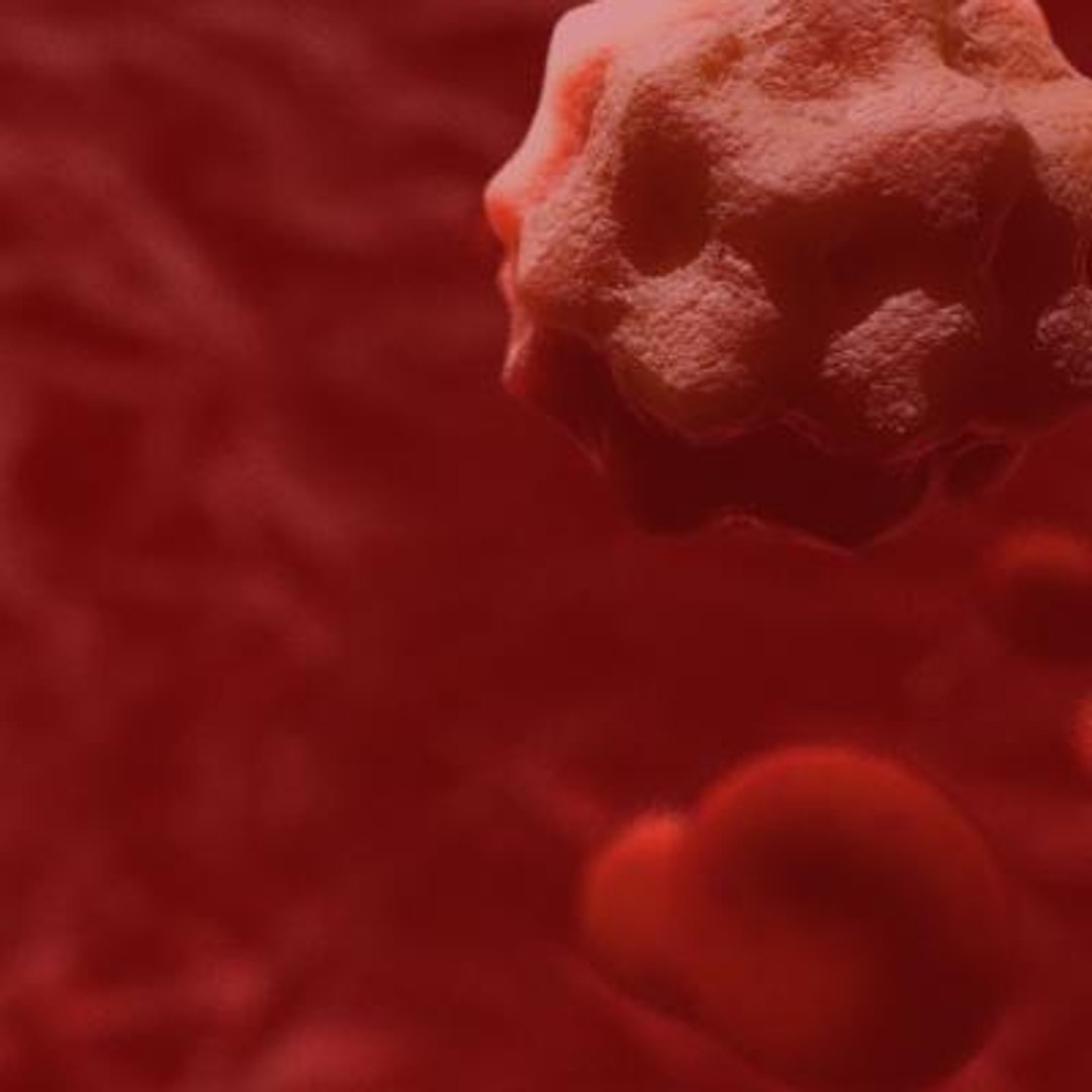 20 viruses virus 3d model https://p.turbosquid.com/ts-thumb/h4/c7Fqg8/wGiyFYuy/hepatovirus4/jpg/1284131980/1920x1080/fit_q87/77c7a75e0efae2078b5783c0347cac4d56e3f8df/hepatovirus4.jpg
