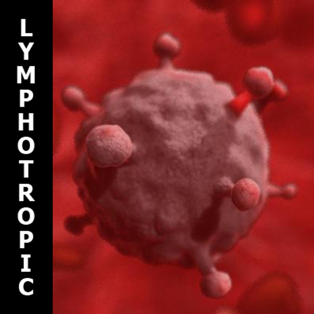 20 viruses virus 3d model https://p.turbosquid.com/ts-thumb/h4/c7Fqg8/wpenaMtZ/copile/jpg/1284130916/1920x1080/fit_q87/f5bd681c1b0850df75a52ffe174f55f553f0db2f/copile.jpg