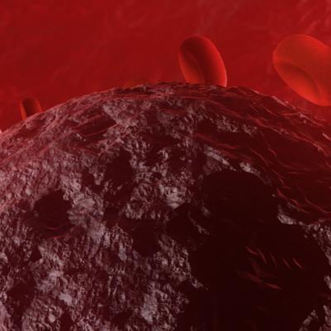 20 viruses virus 3d model https://p.turbosquid.com/ts-thumb/h4/c7Fqg8/x3mNRFGa/humantcellleukemiavirus5/jpg/1284132049/1920x1080/fit_q87/54fd3645d0b63cb807b2f7bea00b69ec582066aa/humantcellleukemiavirus5.jpg