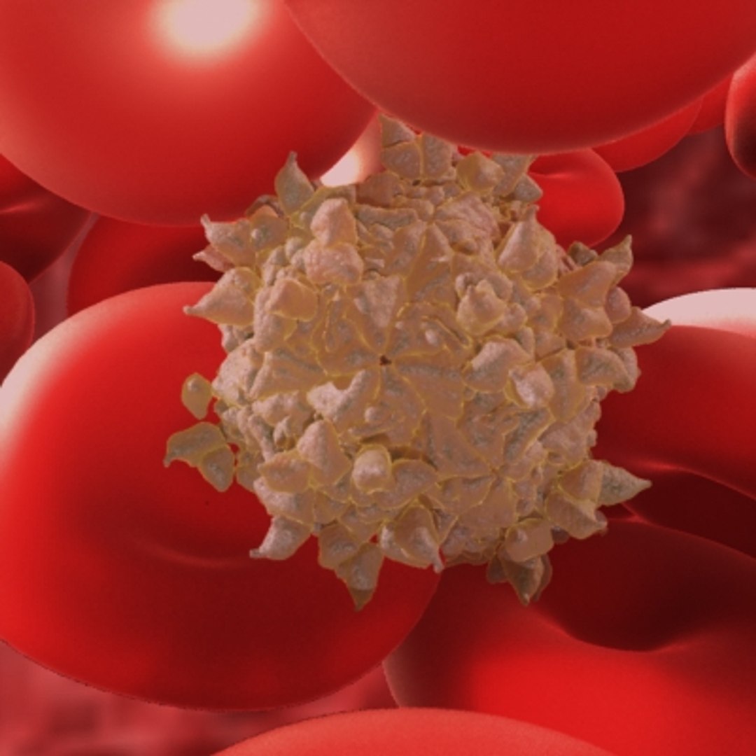 20 viruses virus 3d model https://p.turbosquid.com/ts-thumb/h4/c7Fqg8/zQdSCEmr/1/jpg/1284132030/1920x1080/fit_q87/dfe006680fa41633bb2cda67d940899ae1680828/1.jpg