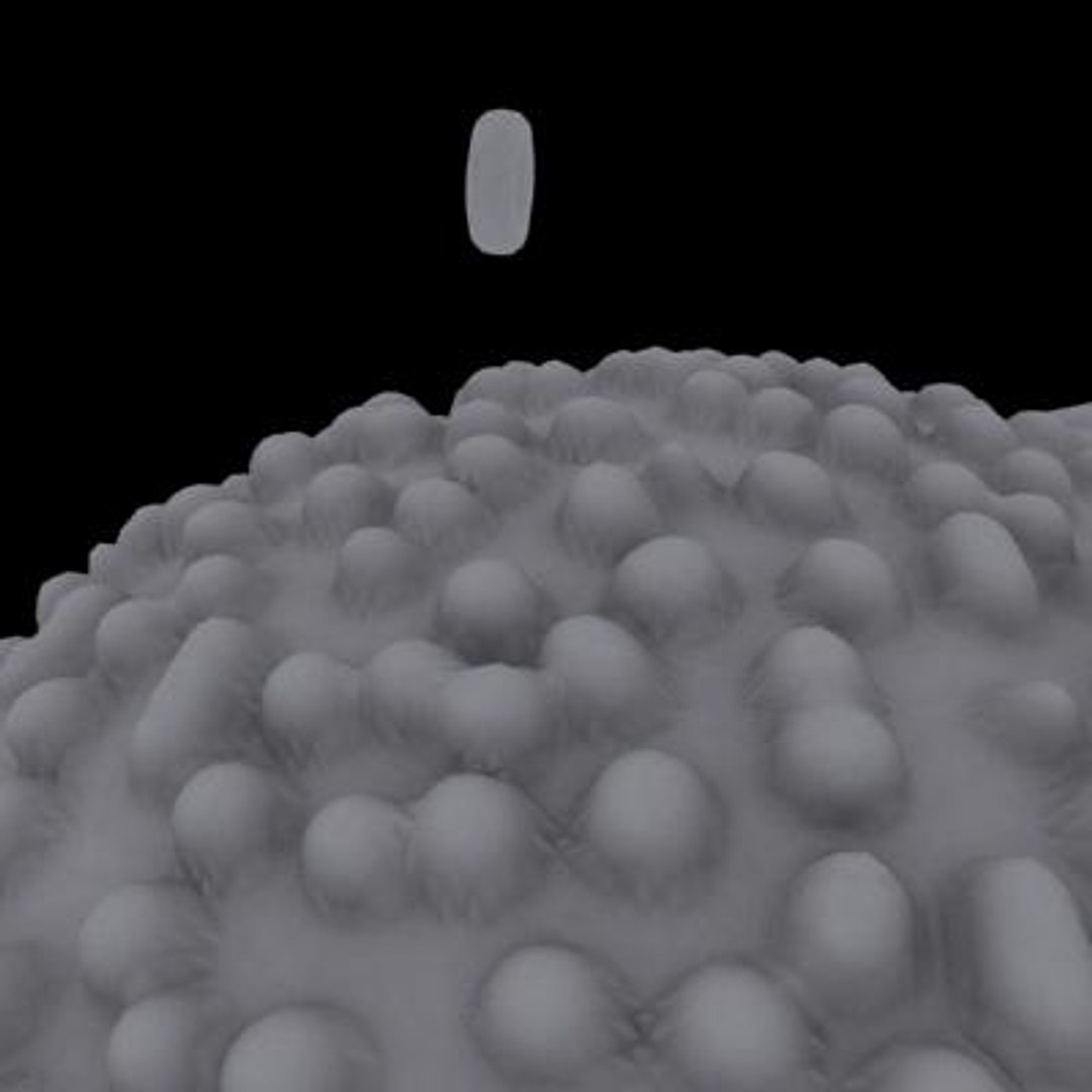 20 viruses virus 3d model https://p.turbosquid.com/ts-thumb/h4/c7Fqg8/zjNooJyG/flavivirus11/jpg/1284131907/1920x1080/fit_q87/725128a0091f9ddad9ad2aa5c70df847bd33712c/flavivirus11.jpg