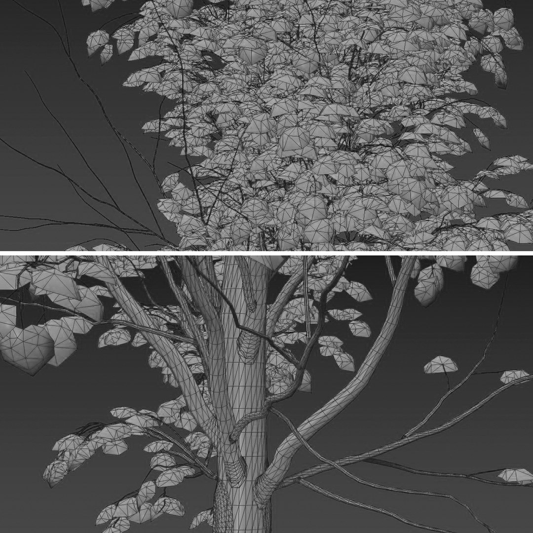 Set of Acer Saccharum or Sugar maple Tree - 2 Trees 3D model https://p.turbosquid.com/ts-thumb/h4/gN1lx7/13/5t/jpg/1668438098/1920x1080/fit_q87/468cff6c9d9a724178f9a2d0221c88792ee975d2/5t.jpg