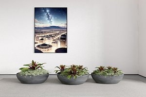 flowers plants and Modern