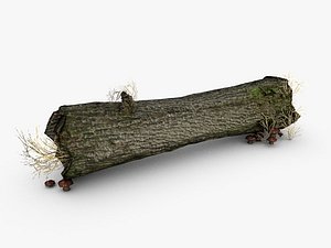 3d dead tree trunk mushrooms model