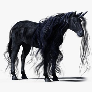 Unicorn Black Horse