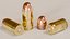 380 ACP 380 Auto Bullet Cartridge
