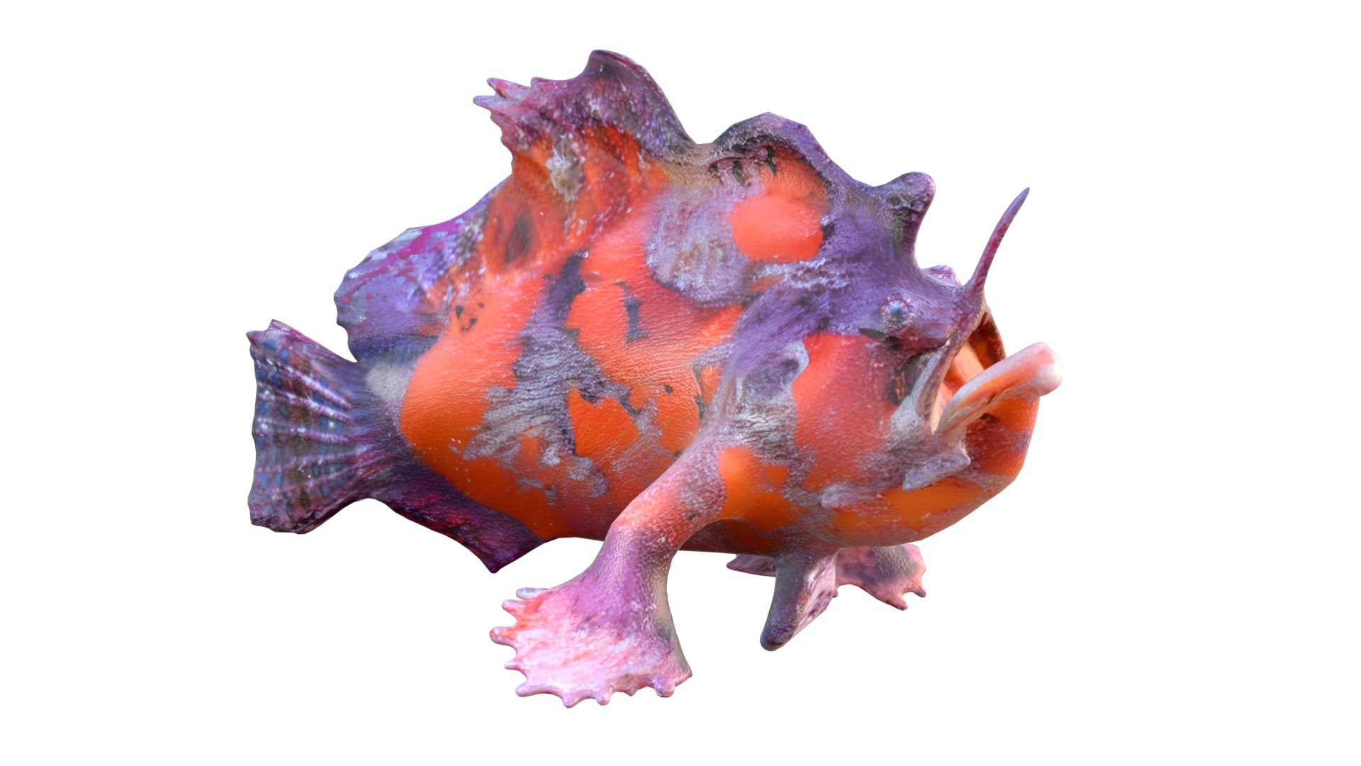3D 50 Fish Sea Creatures Collection https://p.turbosquid.com/ts-thumb/h5/1lQSCt/hy/1/jpg/1768044955/1920x1080/fit_q87/9b7fc55cb16cffb985ae3945593403d9ae997e76/1.jpg
