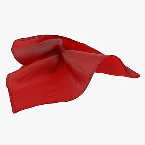 Football Penalty Flag Red 3 3D Model