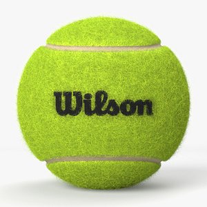 Wilson Tennis Ball 3D model