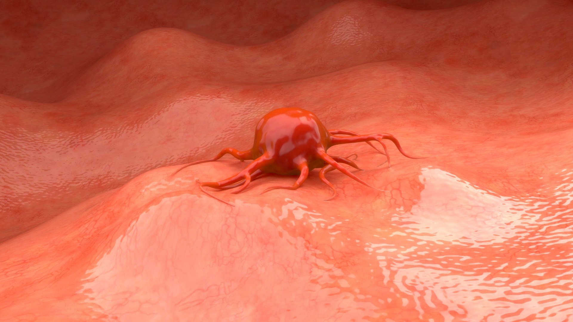 cancer cell 3D https://p.turbosquid.com/ts-thumb/h5/GLHuTj/Gh/34_cancer_0001/jpg/1722088653/1920x1080/fit_q87/238d474daded0ea5587d300f81c4834a170b84a7/34_cancer_0001.jpg