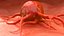 cancer cell 3D