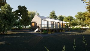 Revit Modern country house 1
