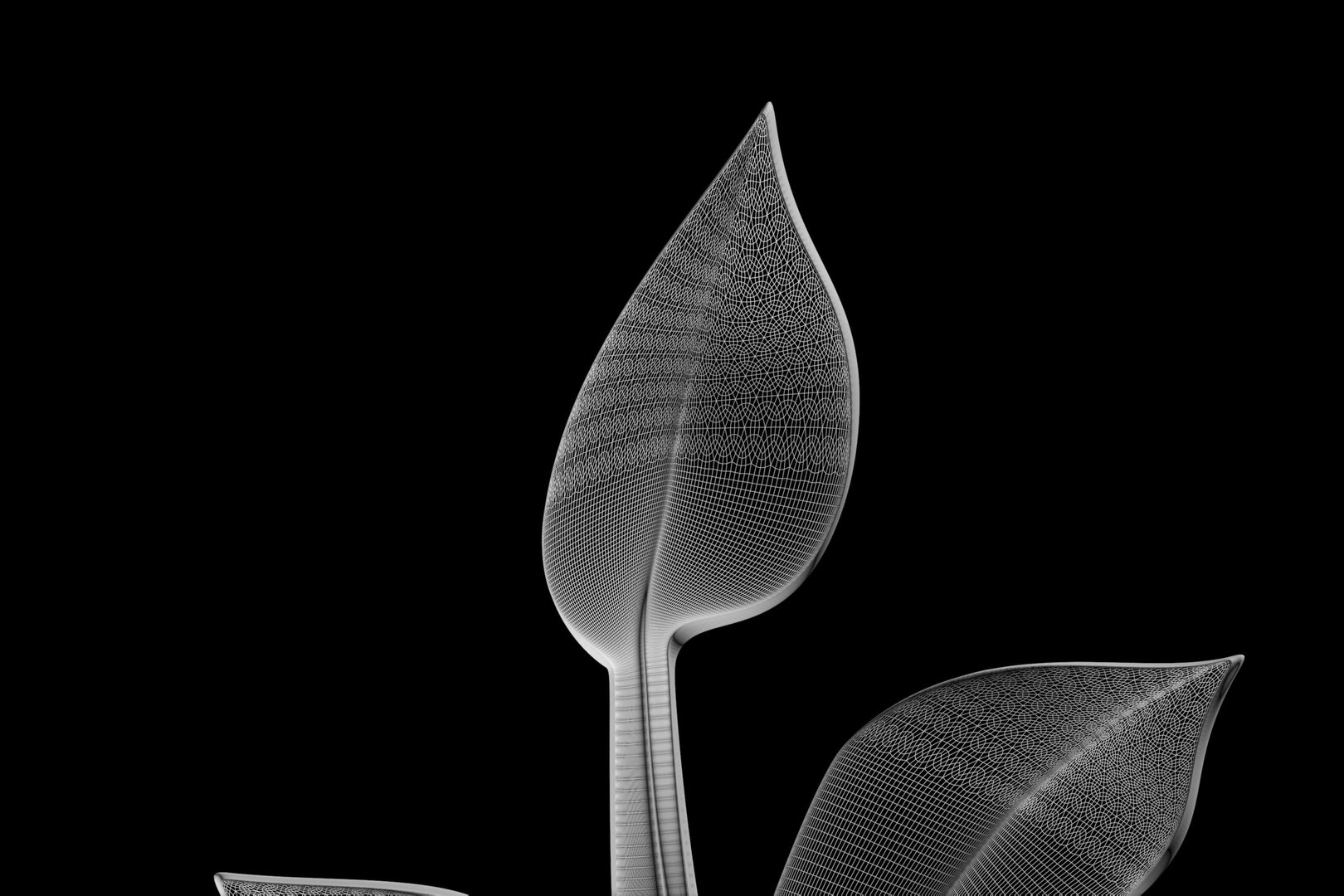 3D MODEL OF LEAF FLOWER DECOR FOR CNC ROUTER model https://p.turbosquid.com/ts-thumb/h5/pN7Xk3/iO/4/jpg/1720861460/1920x1080/fit_q87/1979135d1ddfc6e85d0d851839a63a81b6af0c7e/4.jpg