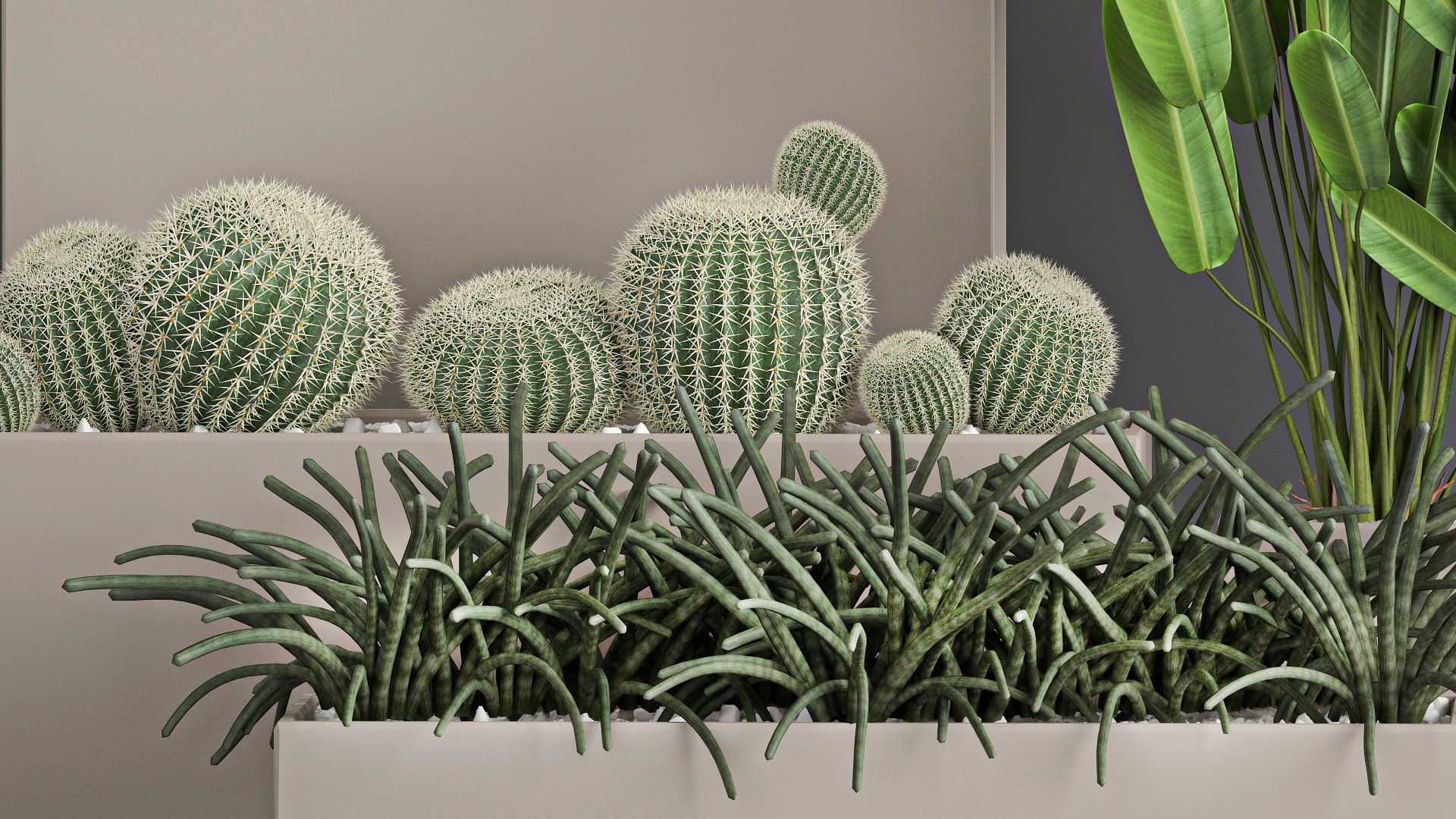 3D Collection of plants from bushes and thickets for landscape design 1063 https://p.turbosquid.com/ts-thumb/h5/wafVYW/6k/1plantset21011202104/jpg/1636634648/1920x1080/fit_q87/9d0014c803abba16a0e5692592344ba3a4fb046d/1plantset21011202104.jpg