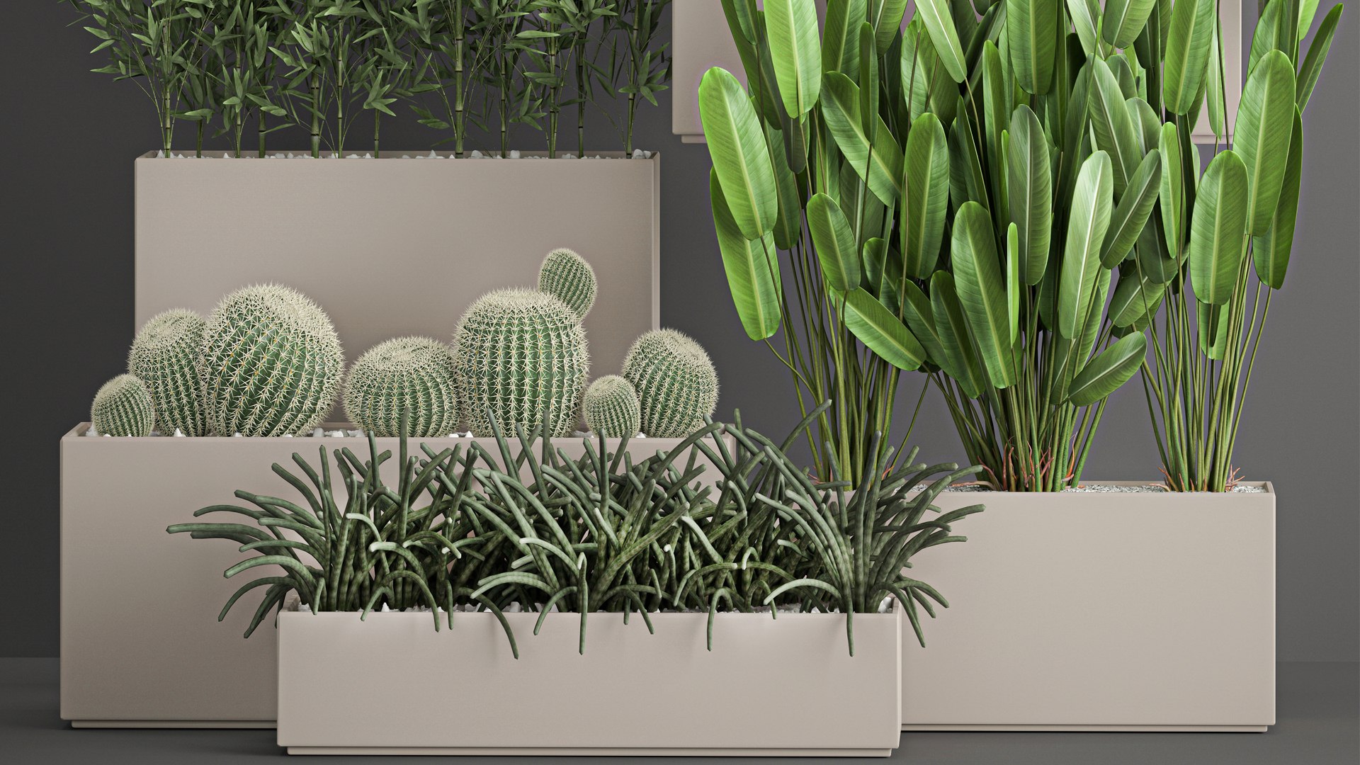 3D Collection of plants from bushes and thickets for landscape design 1063 https://p.turbosquid.com/ts-thumb/h5/wafVYW/7h/1plantset21011202103/jpg/1636634651/1920x1080/fit_q87/4f0338ec9bd37e5542ebb876245339ad037c2280/1plantset21011202103.jpg