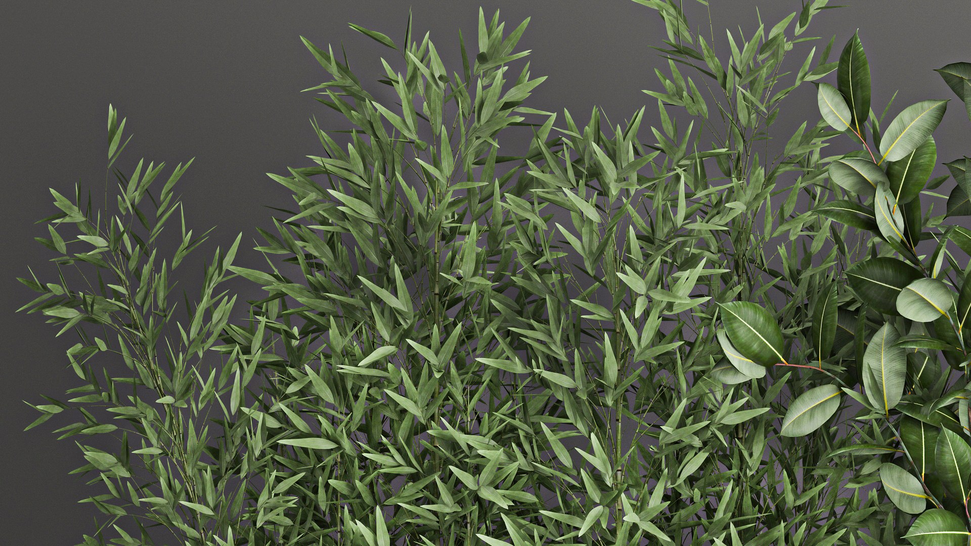 3D Collection of plants from bushes and thickets for landscape design 1063 https://p.turbosquid.com/ts-thumb/h5/wafVYW/HL/1plantset21011202107/jpg/1636634645/1920x1080/fit_q87/c4e87f0b0d3e8bd5a9fa2328e4c18862922a12a7/1plantset21011202107.jpg