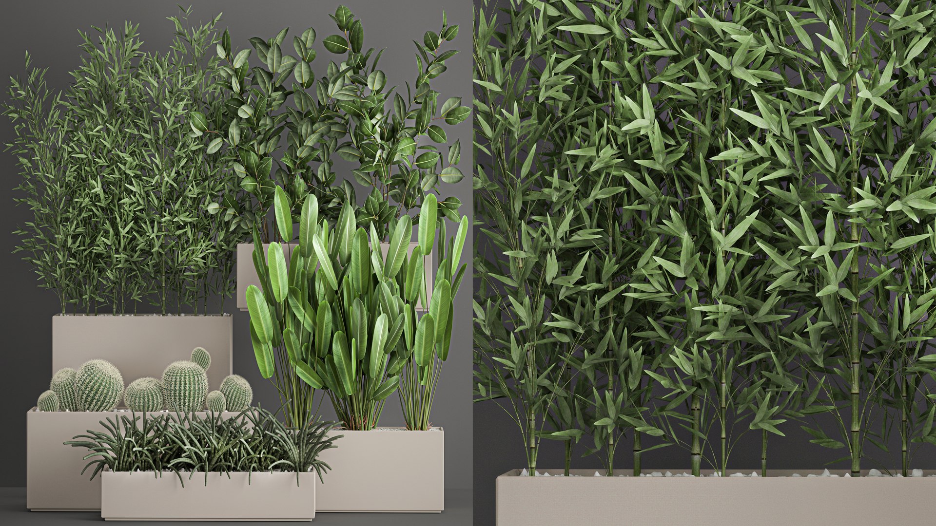 3D Collection of plants from bushes and thickets for landscape design 1063 https://p.turbosquid.com/ts-thumb/h5/wafVYW/KQ/1plantset21011202101/jpg/1636634643/1920x1080/fit_q87/e8433dc9f933a933f06b33f77caf0b6b7c61478e/1plantset21011202101.jpg