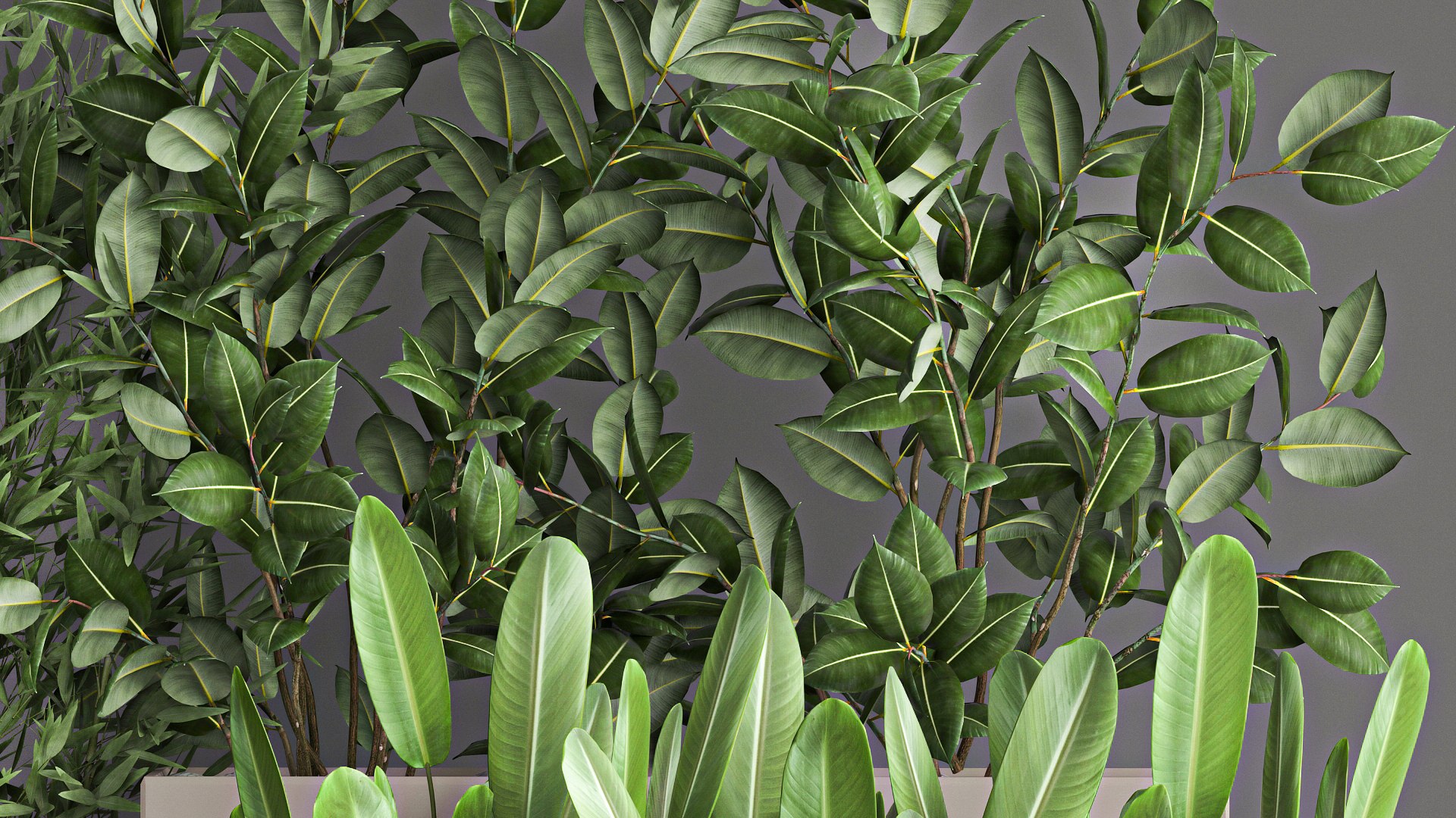 3D Collection of plants from bushes and thickets for landscape design 1063 https://p.turbosquid.com/ts-thumb/h5/wafVYW/Nt/1plantset21011202106/jpg/1636634647/1920x1080/fit_q87/3cd731934649fdc8740c5d99246a42b5609bed8e/1plantset21011202106.jpg