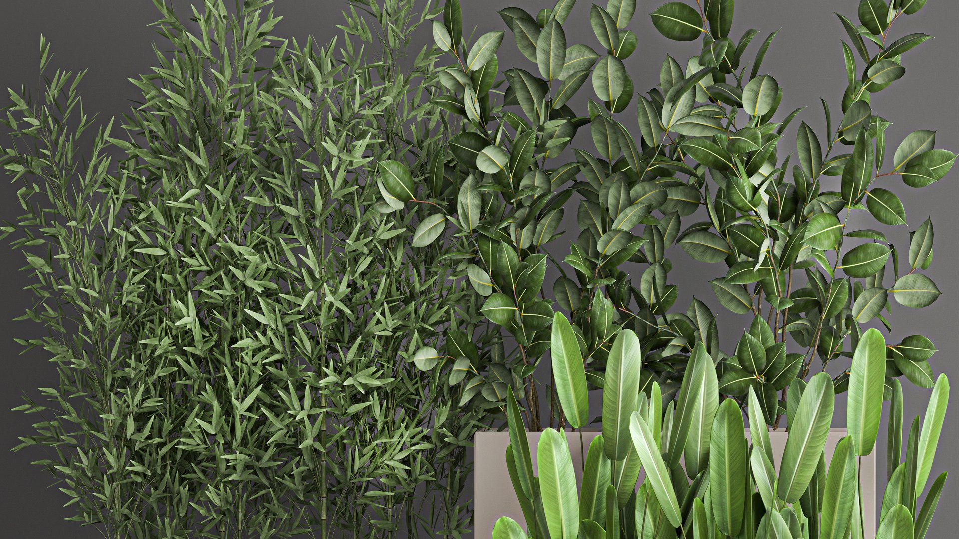 3D Collection of plants from bushes and thickets for landscape design 1063 https://p.turbosquid.com/ts-thumb/h5/wafVYW/XU/1plantset21011202102/jpg/1636634650/1920x1080/fit_q87/f6f62df0140755a6b873047bb438135dd3f05b2a/1plantset21011202102.jpg
