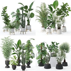 20 Photorealistic Flowers for Interiors - set 118 120 128 131