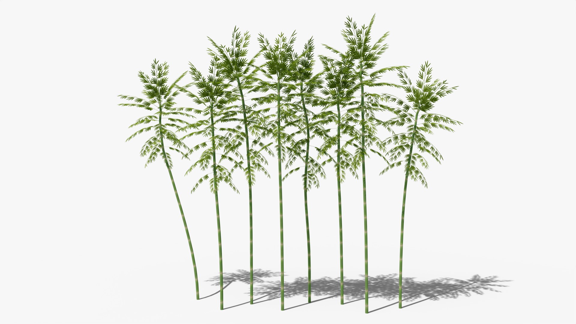 Bamboo Set 3d Model Turbosquid 2174539