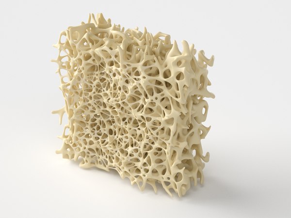 Bone structure anatomy model - TurboSquid 1716153