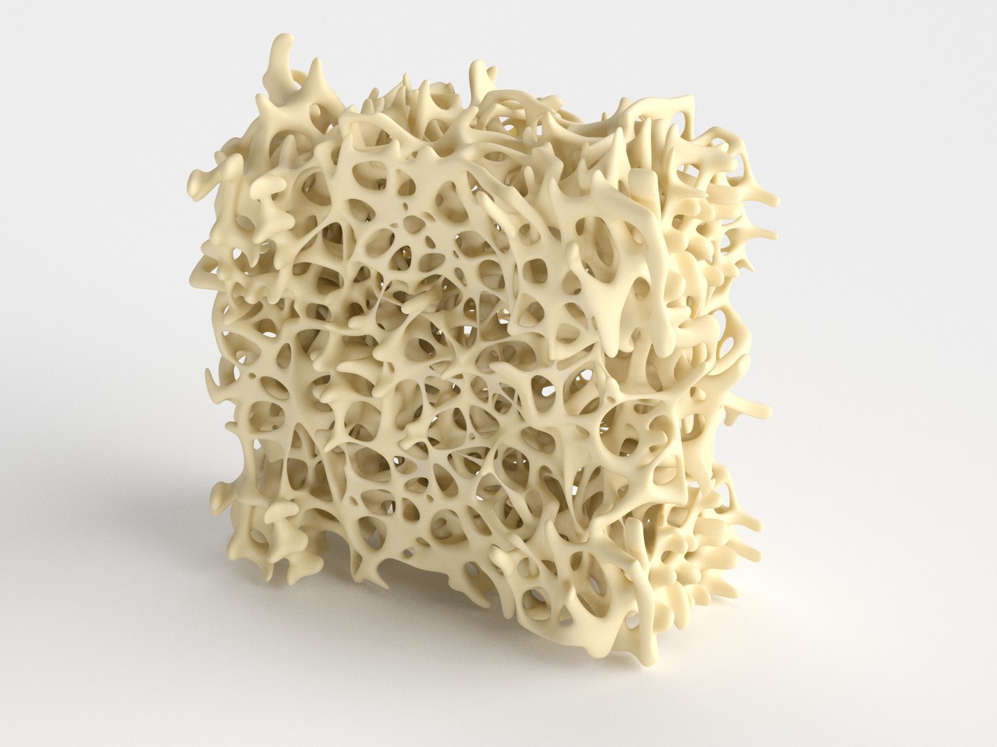 Bone structure anatomy model Biology Diagrams